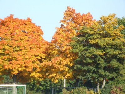 DSCF2178.JPG