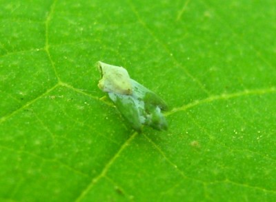 web_IMG_6712.jpg