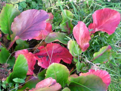 DSCN16140001.JPG