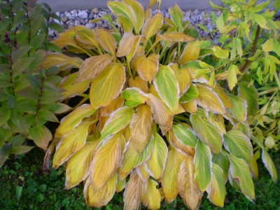 DSCN16120001.JPG