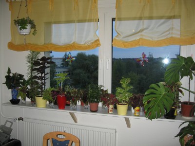 IMG_7964.JPG