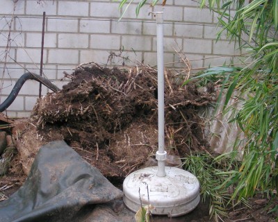 Wurzeln aus der großen Baustelle w.jpg