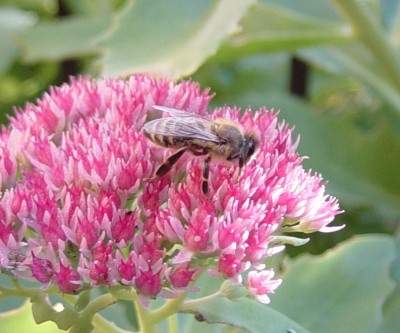 DSC07258 - Kopie.jpg