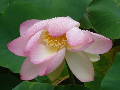 september 2008 280.jpg