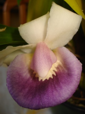 september 2008 173.jpg