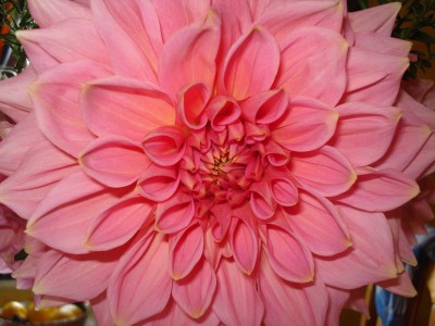 september 2008 003.jpg