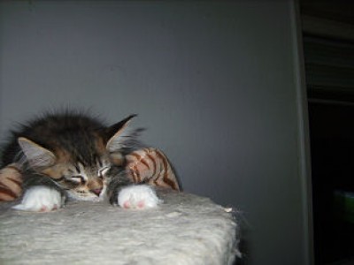 BILD1657.jpg