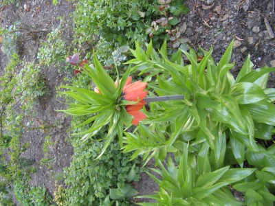 IMG_0159kleiner.jpg
