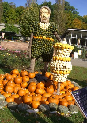 sternzeichen Wassermann.JPG