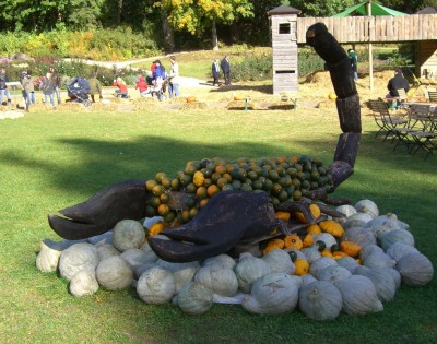 sternzeichen Skorbion.JPG