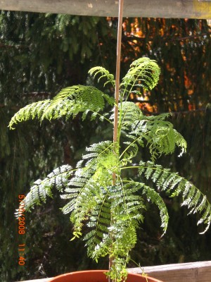 Bilder 061.jpg