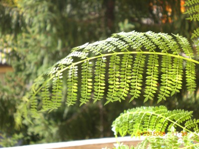 Bilder 060.jpg
