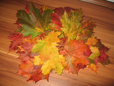 IMG_8083.JPG