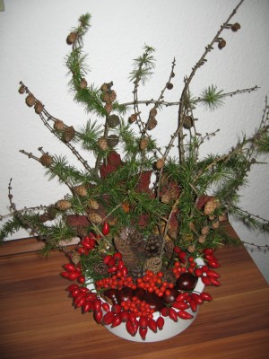 IMG_8082.JPG