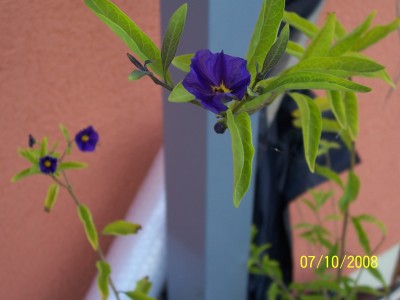 100_4030.JPG