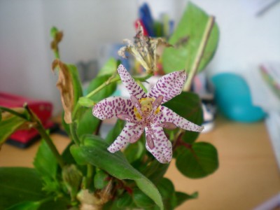 DSCN16870001.JPG