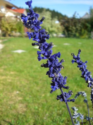 Bild 002.jpg
