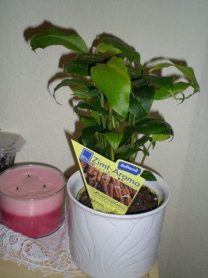 DSCN17010001.JPG