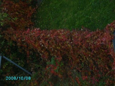 PICT0311.JPG