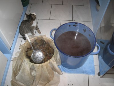 Wolle färben 004.jpg