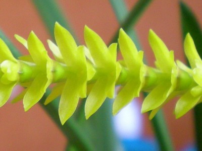RSCN16970001.JPG