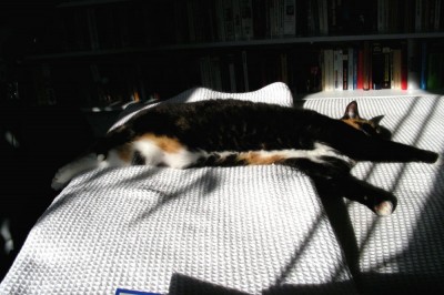 Sonnenbad im Bett w.jpg