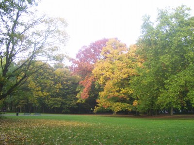 Park 028m.jpg