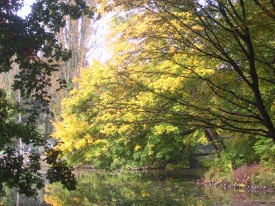 Park 016m.jpg