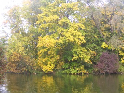 Park 009m.jpg