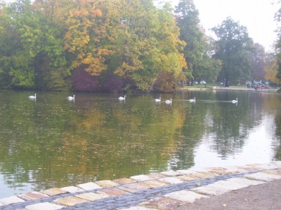 Park 008m.jpg