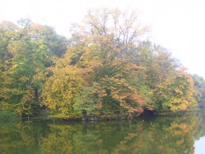 Park 005m.jpg