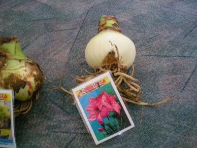DSCN17220001.JPG