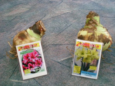 DSCN17210001.JPG
