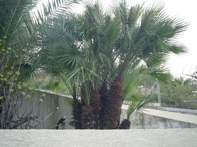 S4023062.JPG