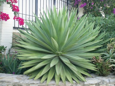 S4023061.JPG