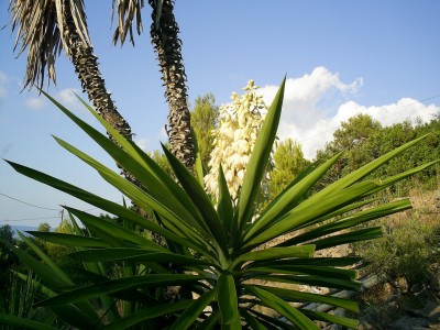 S4023050.JPG