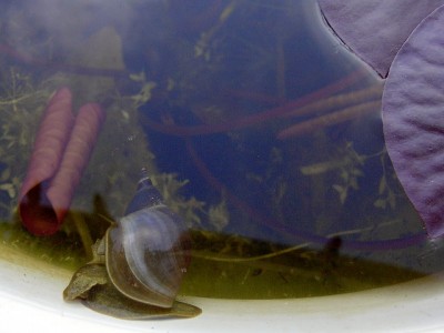 PIC_0876.JPG