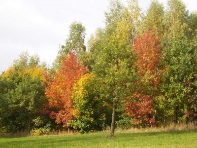 DSCI0007.JPG