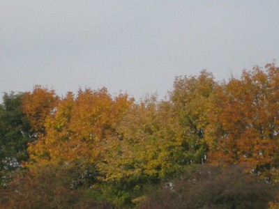 Img_4147.jpg