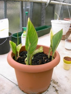 PICT0074.JPG