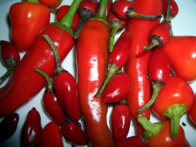 chili1.jpg