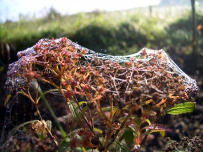 herbst.jpg