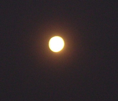 100_6014m.jpg