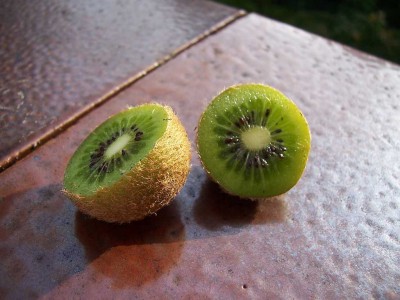 100_4260.JPG