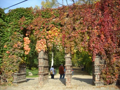 DSCI0120_1.jpg