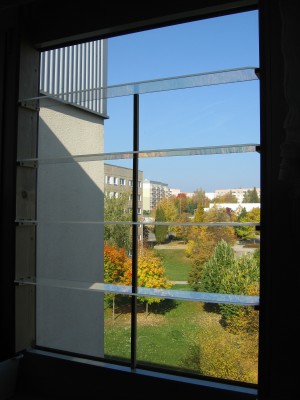 IMG_8094.JPG