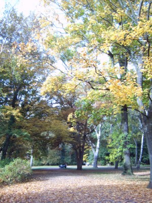 IMG00282m.jpg