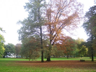 100_6035m.jpg