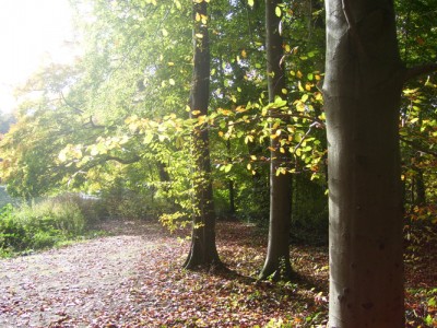 100_6032m.jpg