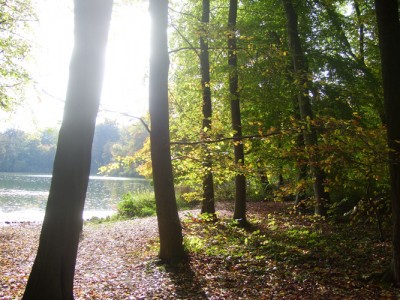 100_6031m.jpg